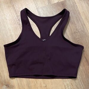 Gottex Deep Purple Sports Bra (NWOT) - Size Large